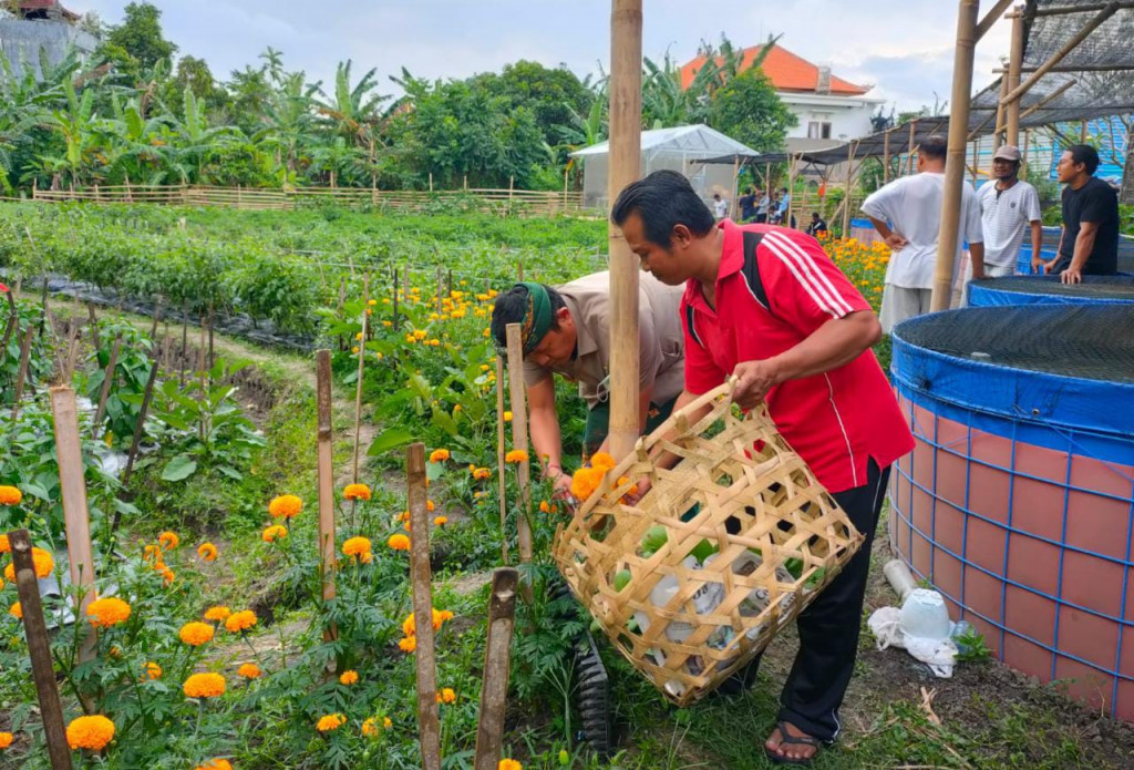 Sayur, Buah, Bunga dan Ikan Lele komoditas Kelompok Ketahanan Pangan Desa Dalung